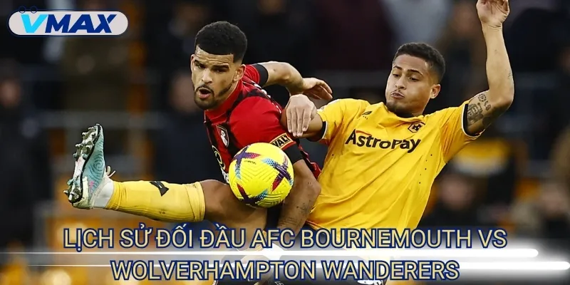 Soi kèo AFC Bournemouth vs Wolverhampton Wanderers 23/8/2025 3 lịch sử đối đầu AFC Bournemouth vs Wolverhampton Wanderers