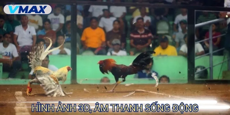 Trực tiếp đá gà hôm nay - Căng thẳng và hồi hộp từng phút 3 trực tiếp đá gà hình ảnh
